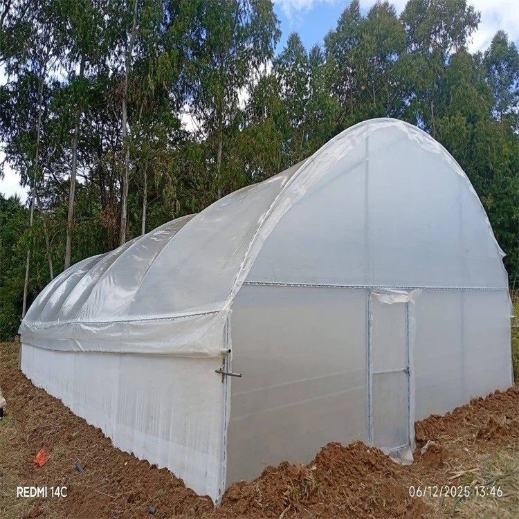 6 Mil Greenhouse Plastic 40 X 100 White - 5 Year Price